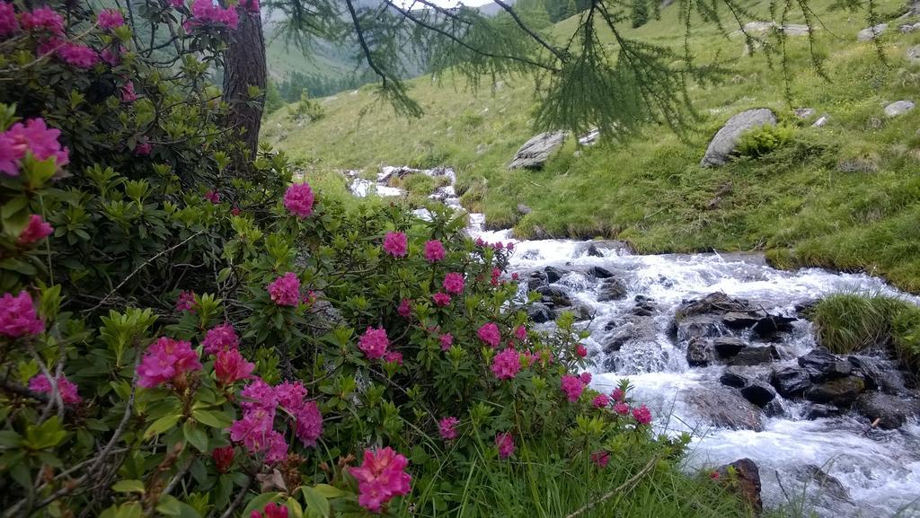Albergo Eden Passo del Tonale Esterno foto