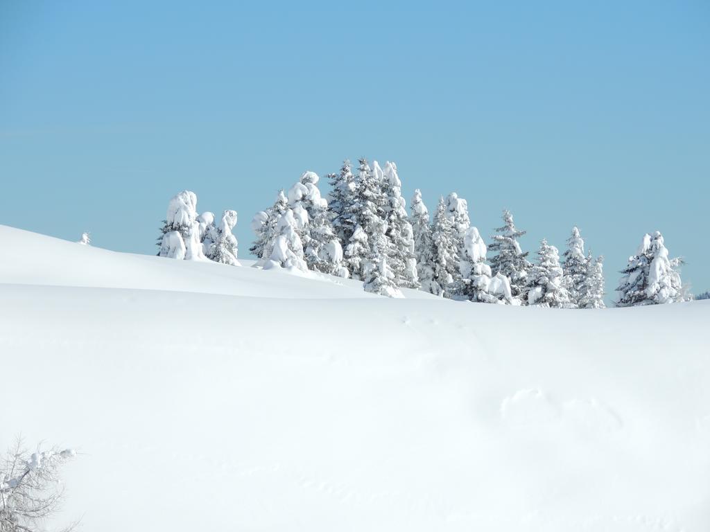Albergo Eden Passo del Tonale Esterno foto